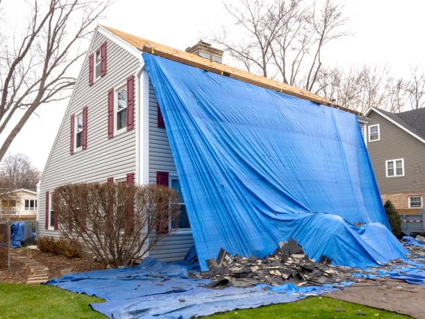 Best Stucco Siding  in Eagle Lake, MN